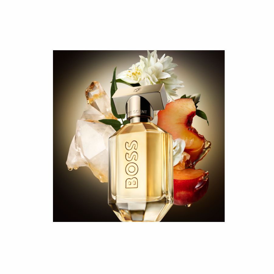 Modelo & Ingredientes